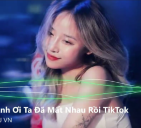 Phải Chia Tay Thôi Remix VER 2 -(Hương Ly, Đại Mèo Remix)