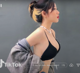 Lạc Chốn Hồng Trần ( Remix ) - Lã Phong Lâm x Đại Mèo Remix